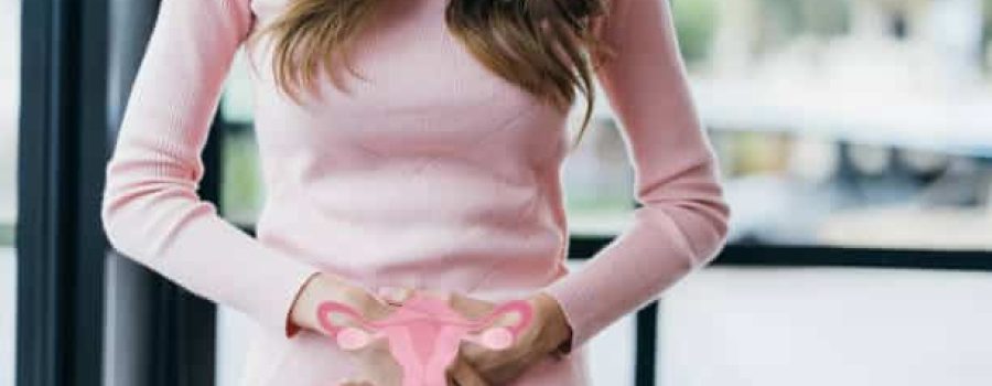 Woman hands touching virtual uterus, female reproductive system , woman health, PCOS, ovary gynecologic and cervix cancer, Healthy feminine concept