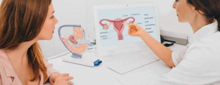 gynecologist communicates with her patient, pointing to the structure of the uterus, on her comput er.